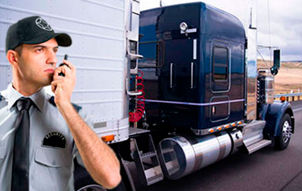 Custodia de Vehículos